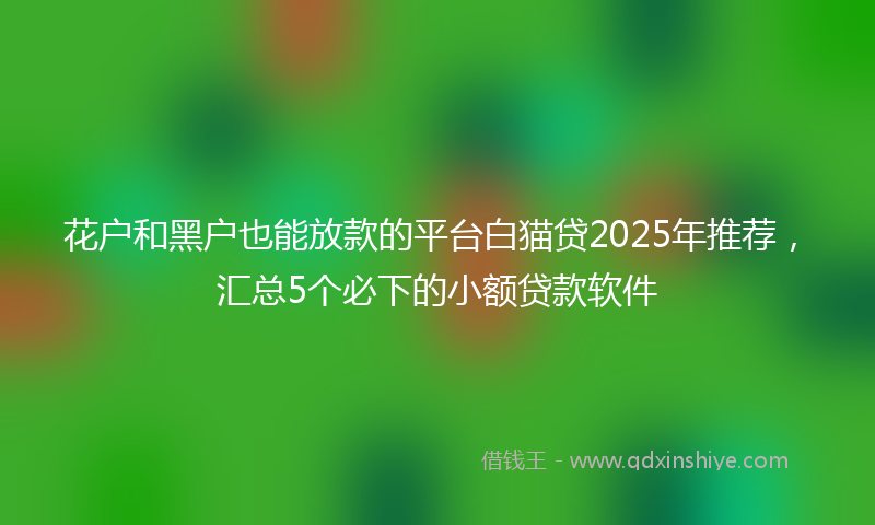 花户和黑户也能放款的平台白猫贷2025年推荐，汇总5个必下的小额贷款软件