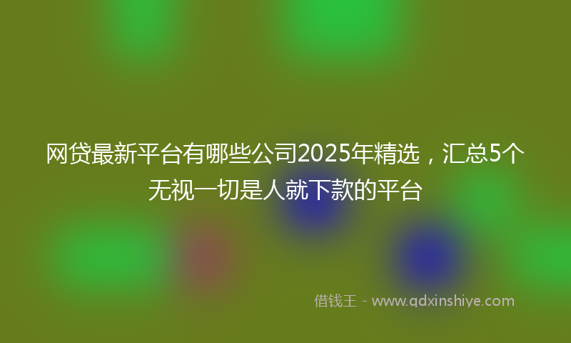 网贷最新平台有哪些公司2025年精选，汇总5个无视一切是人就下款的平台