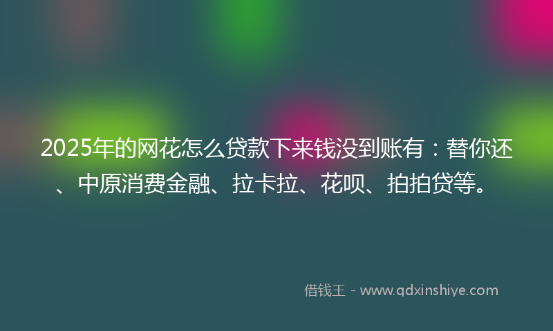 2025年的网花怎么贷款下来钱没到账有：替你还、中原消费金融、拉卡拉、花呗、拍拍贷等。