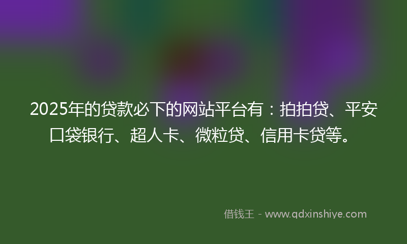 2025年的贷款必下的网站平台有：拍拍贷、平安口袋银行、超人卡、微粒贷、信用卡贷等。