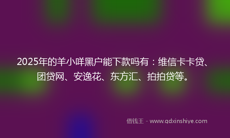 2025年的羊小咩黑户能下款吗有：维信卡卡贷、团贷网、安逸花、东方汇、拍拍贷等。