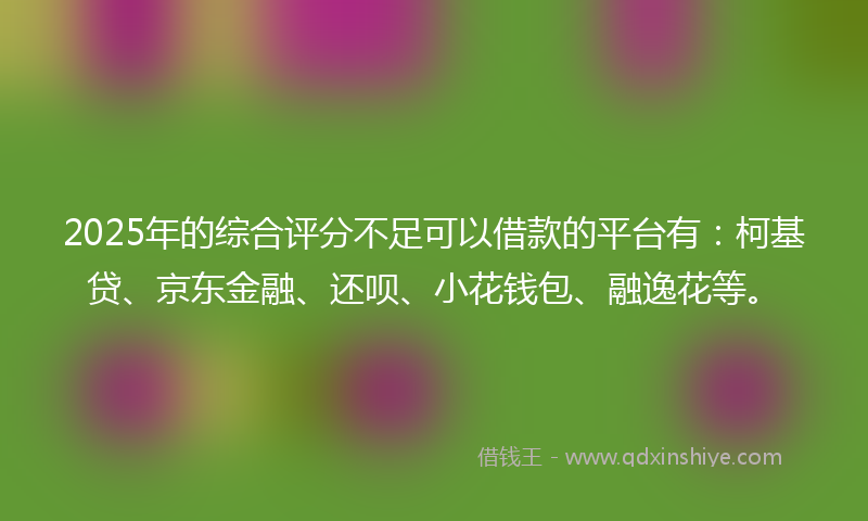 2025年的综合评分不足可以借款的平台有：柯基贷、京东金融、还呗、小花钱包、融逸花等。
