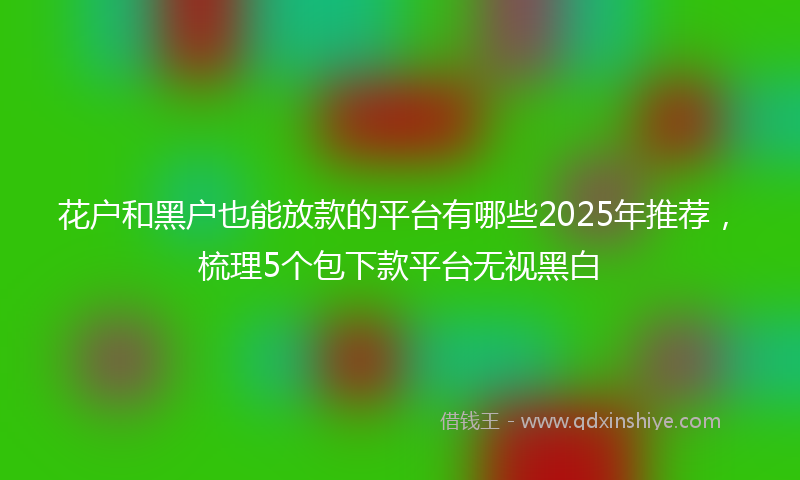花户和黑户也能放款的平台有哪些2025年推荐，梳理5个包下款平台无视黑白