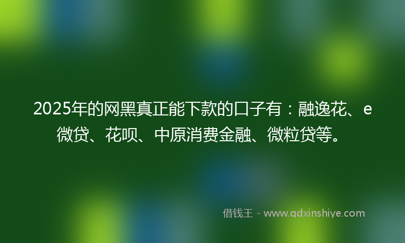 2025年的网黑真正能下款的口子有：融逸花、e微贷、花呗、中原消费金融、微粒贷等。