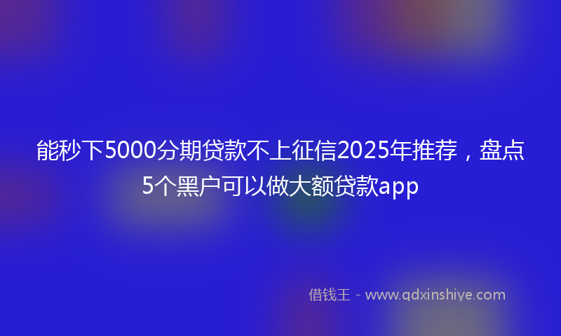 能秒下5000分期贷款不上征信2025年推荐，盘点5个黑户可以做大额贷款app