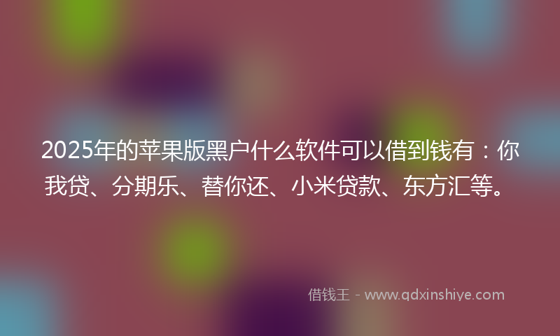 2025年的苹果版黑户什么软件可以借到钱有：你我贷、分期乐、替你还、小米贷款、东方汇等。