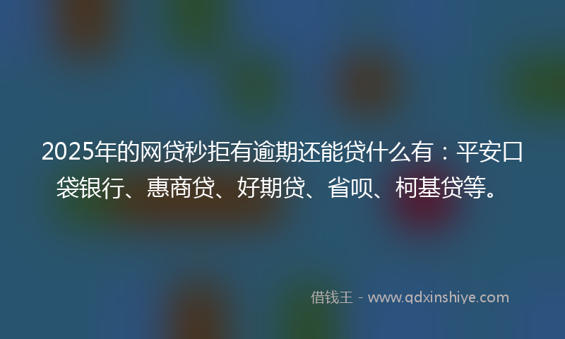 2025年的网贷秒拒有逾期还能贷什么有：平安口袋银行、惠商贷、好期贷、省呗、柯基贷等。