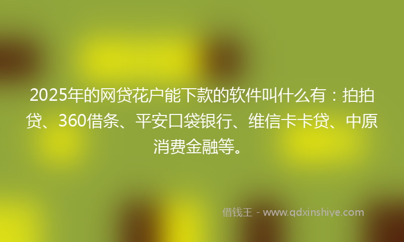 2025年的网贷花户能下款的软件叫什么有：拍拍贷、360借条、平安口袋银行、维信卡卡贷、中原消费金融等。