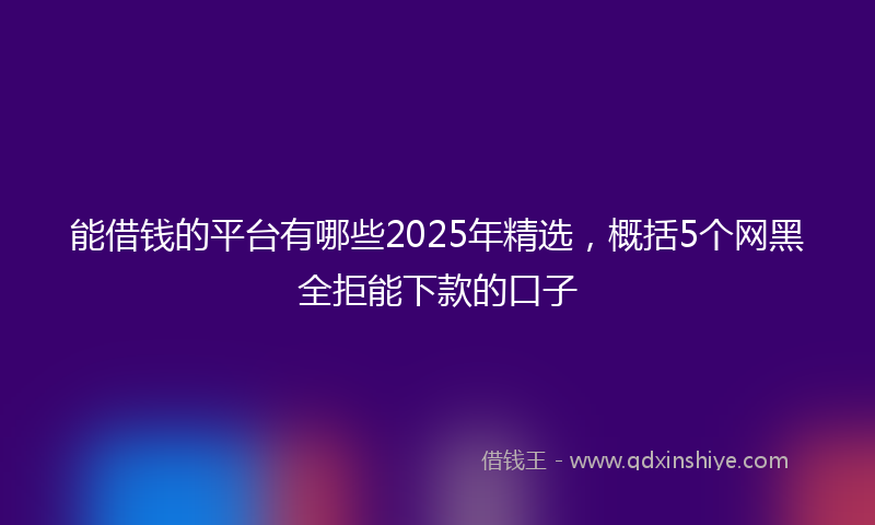 能借钱的平台有哪些2025年精选，概括5个网黑全拒能下款的口子