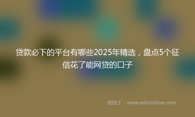 贷款必下的平台有哪些2025年精选，盘点5个征信花了能网贷的口子