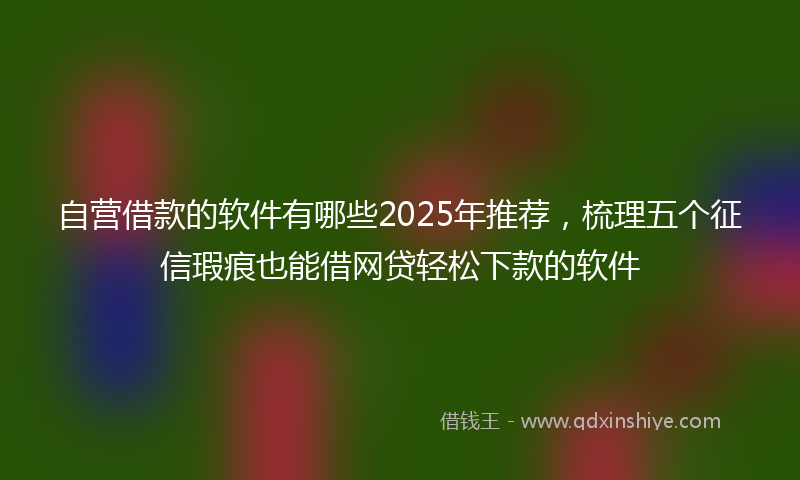 自营借款的软件有哪些2025年推荐，梳理五个征信瑕疵也能借网贷轻松下款的软件