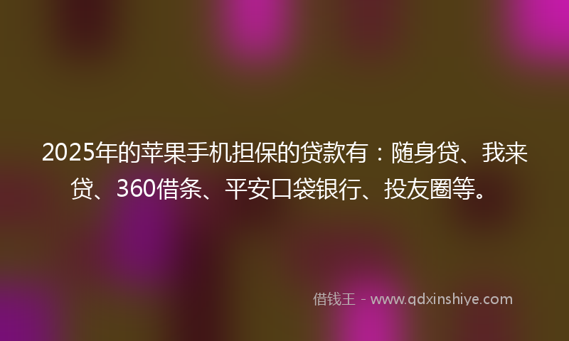 2025年的苹果手机担保的贷款有：随身贷、我来贷、360借条、平安口袋银行、投友圈等。