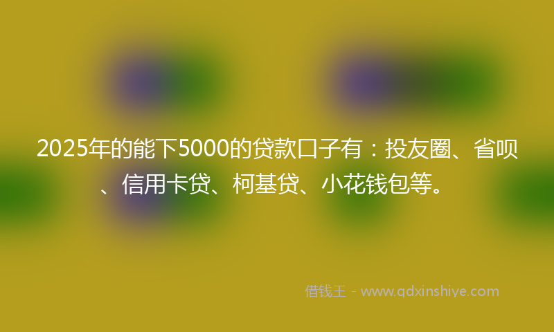 2025年的能下5000的贷款口子有：投友圈、省呗、信用卡贷、柯基贷、小花钱包等。