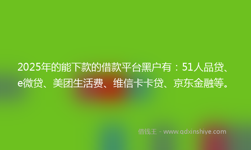 2025年的能下款的借款平台黑户有：51人品贷、e微贷、美团生活费、维信卡卡贷、京东金融等。