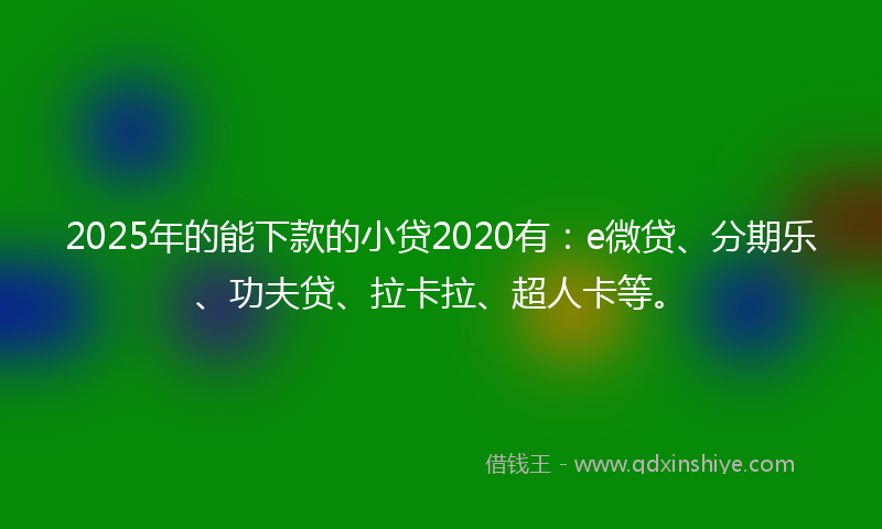 2025年的能下款的小贷2020有：e微贷、分期乐、功夫贷、拉卡拉、超人卡等。