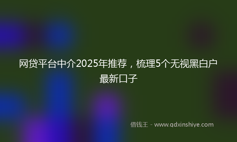 网贷平台中介2025年推荐，梳理5个无视黑白户最新口子