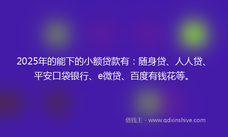 2025年的能下的小额贷款有：随身贷、人人贷、平安口袋银行、e微贷、百度有钱花等。