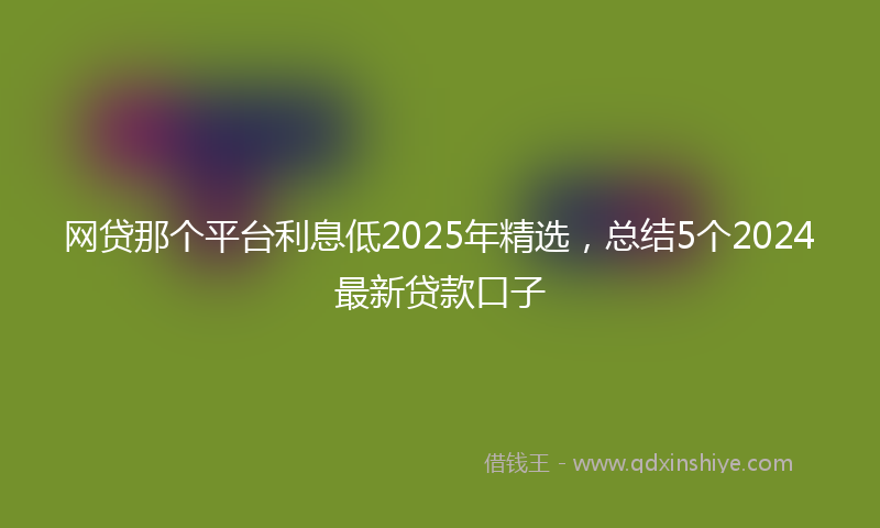 网贷那个平台利息低2025年精选，总结5个2024最新贷款口子