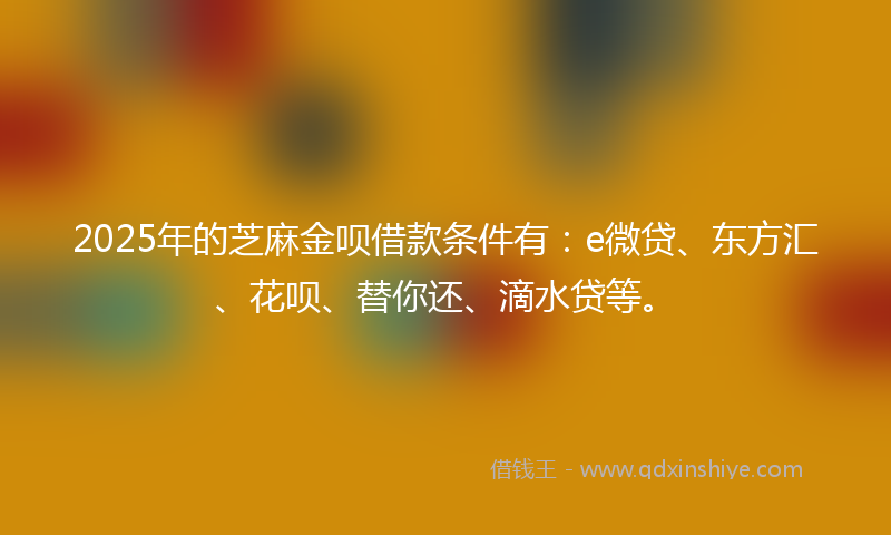 2025年的芝麻金呗借款条件有：e微贷、东方汇、花呗、替你还、滴水贷等。