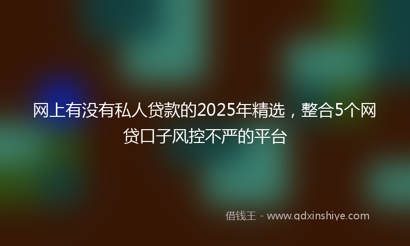 网上有没有私人贷款的2025年精选，整合5个网贷口子风控不严的平台