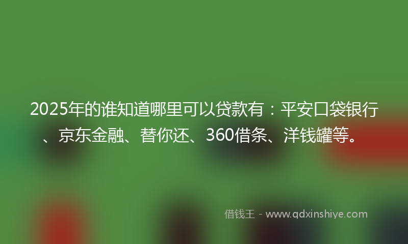 2025年的谁知道哪里可以贷款有：平安口袋银行、京东金融、替你还、360借条、洋钱罐等。