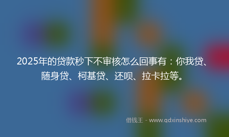 2025年的贷款秒下不审核怎么回事有：你我贷、随身贷、柯基贷、还呗、拉卡拉等。