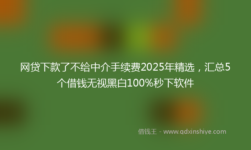 网贷下款了不给中介手续费2025年精选，汇总5个借钱无视黑白100%秒下软件