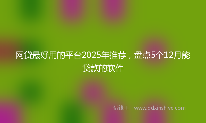 网贷最好用的平台2025年推荐，盘点5个12月能贷款的软件