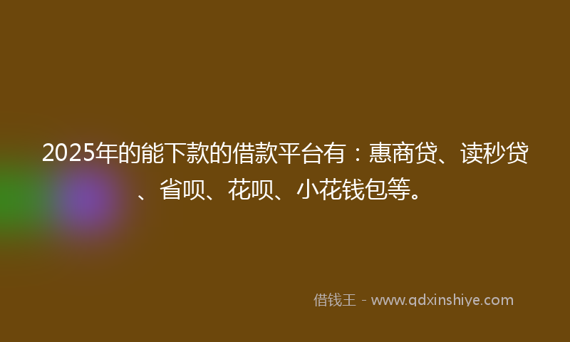 2025年的能下款的借款平台有：惠商贷、读秒贷、省呗、花呗、小花钱包等。
