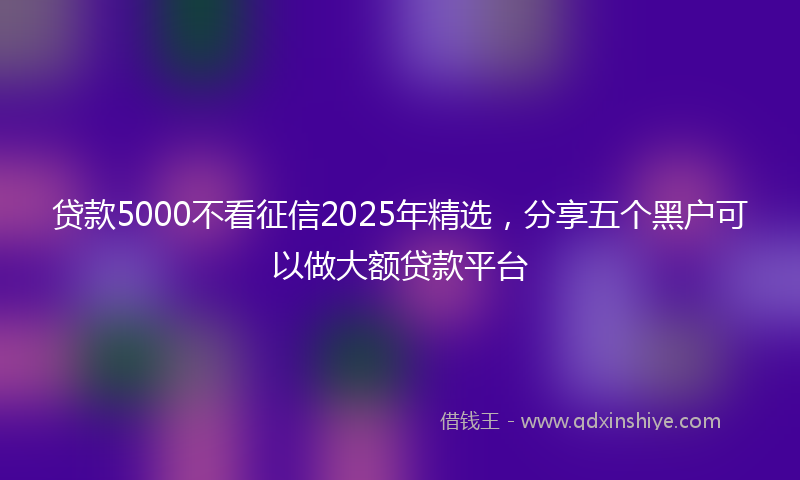 贷款5000不看征信2025年精选，分享五个黑户可以做大额贷款平台