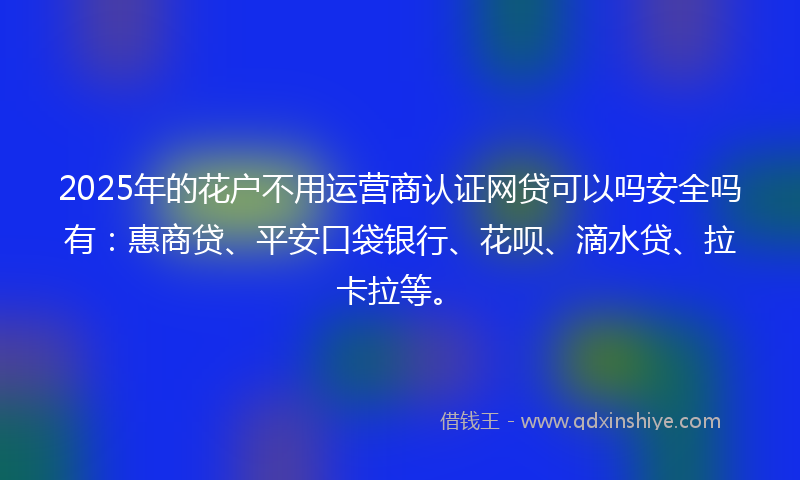 2025年的花户不用运营商认证网贷可以吗安全吗有：惠商贷、平安口袋银行、花呗、滴水贷、拉卡拉等。