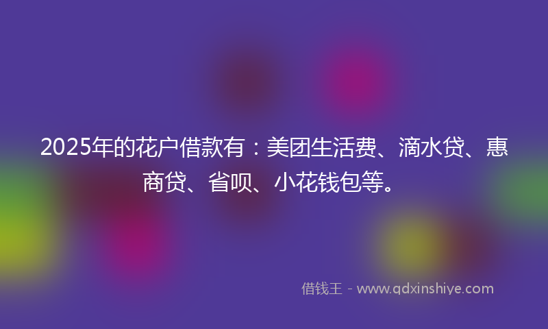2025年的花户借款有：美团生活费、滴水贷、惠商贷、省呗、小花钱包等。