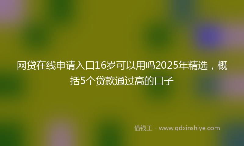 网贷在线申请入口16岁可以用吗2025年精选，概括5个贷款通过高的口子