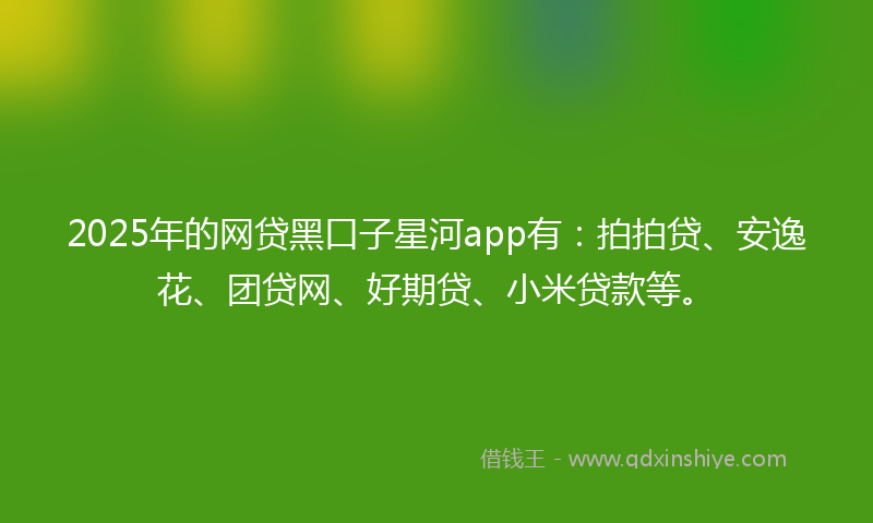 2025年的网贷黑口子星河app有：拍拍贷、安逸花、团贷网、好期贷、小米贷款等。