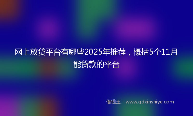 网上放贷平台有哪些2025年推荐，概括5个11月能贷款的平台
