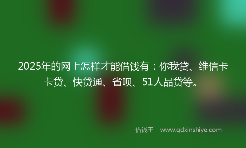 2025年的网上怎样才能借钱有：你我贷、维信卡卡贷、快贷通、省呗、51人品贷等。