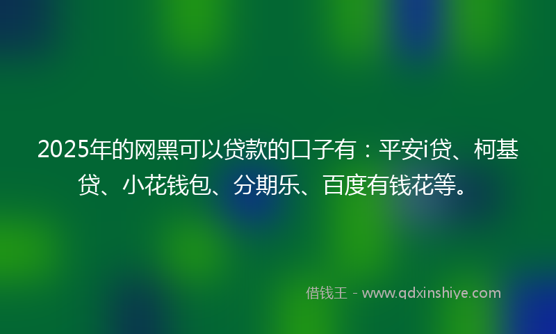 2025年的网黑可以贷款的口子有：平安i贷、柯基贷、小花钱包、分期乐、百度有钱花等。
