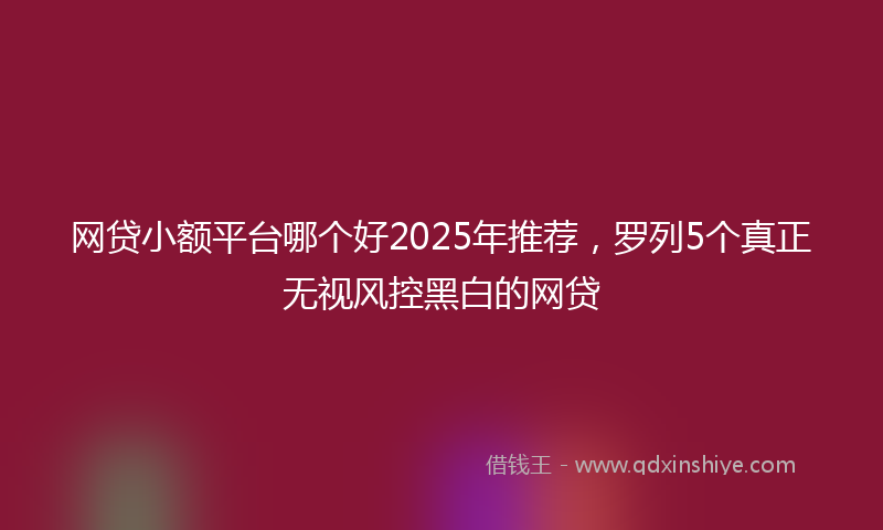 网贷小额平台哪个好2025年推荐，罗列5个真正无视风控黑白的网贷