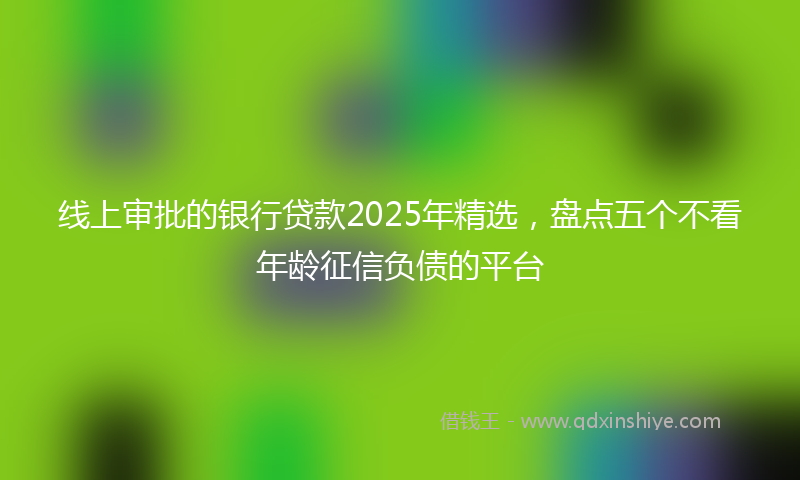 线上审批的银行贷款2025年精选，盘点五个不看年龄征信负债的平台