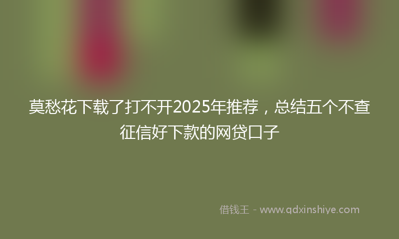 莫愁花下载了打不开2025年推荐，总结五个不查征信好下款的网贷口子