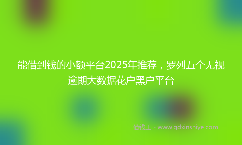 能借到钱的小额平台2025年推荐，罗列五个无视逾期大数据花户黑户平台