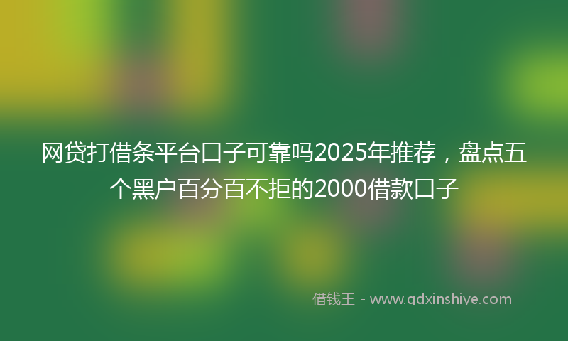 网贷打借条平台口子可靠吗2025年推荐，盘点五个黑户百分百不拒的2000借款口子