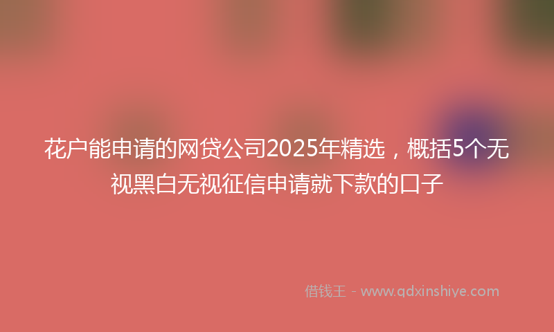 花户能申请的网贷公司2025年精选，概括5个无视黑白无视征信申请就下款的口子