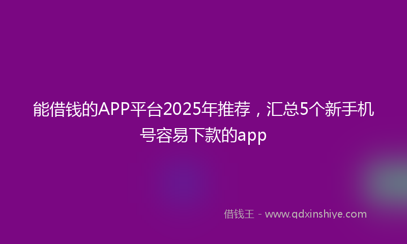 能借钱的APP平台2025年推荐，汇总5个新手机号容易下款的app