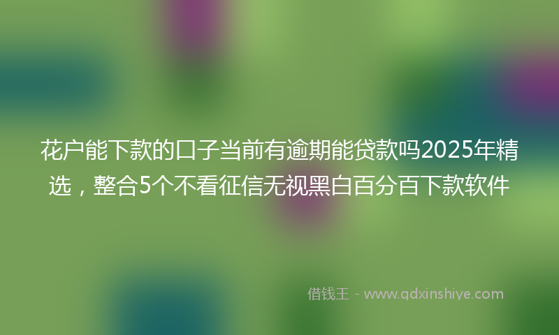 花户能下款的口子当前有逾期能贷款吗2025年精选，整合5个不看征信无视黑白百分百下款软件