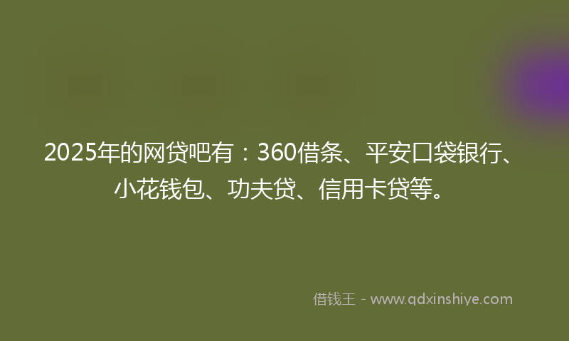 2025年的网贷吧有：360借条、平安口袋银行、小花钱包、功夫贷、信用卡贷等。