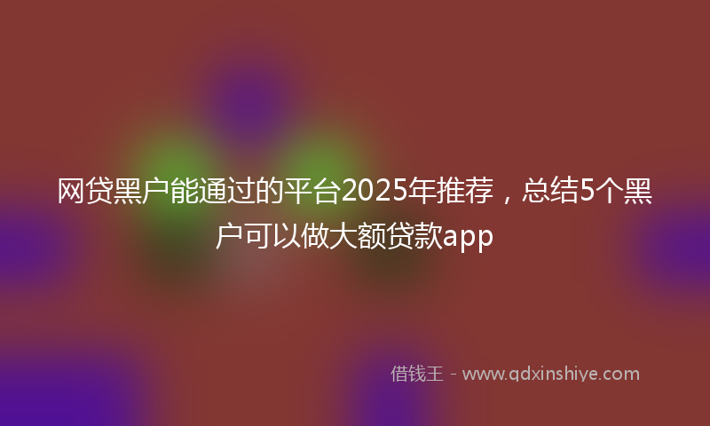 网贷黑户能通过的平台2025年推荐，总结5个黑户可以做大额贷款app