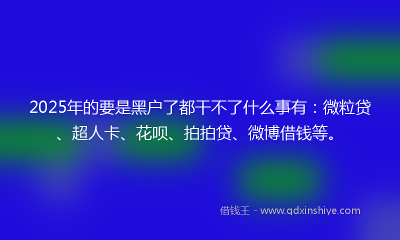 2025年的要是黑户了都干不了什么事有：微粒贷、超人卡、花呗、拍拍贷、微博借钱等。