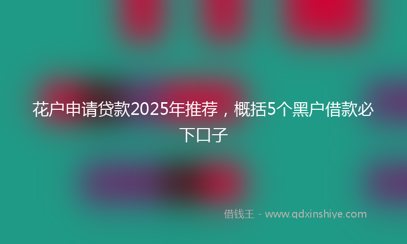 花户申请贷款2025年推荐，概括5个黑户借款必下口子