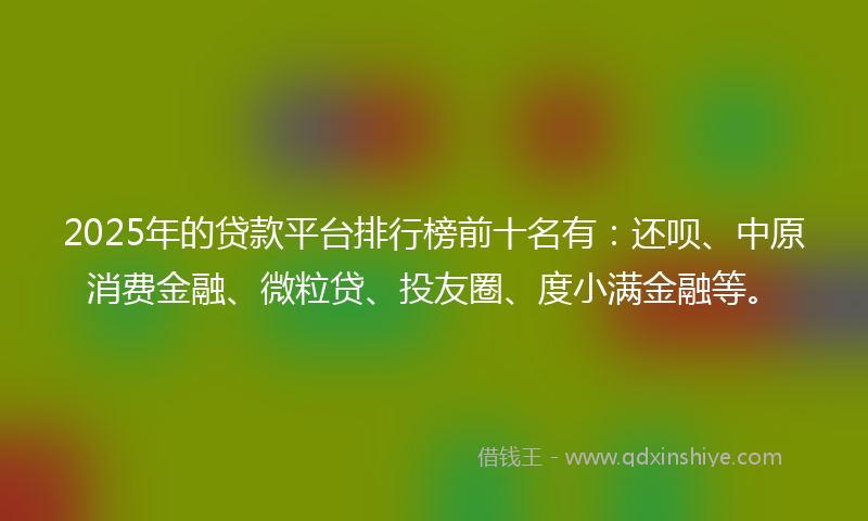 2025年的贷款平台排行榜前十名有：还呗、中原消费金融、微粒贷、投友圈、度小满金融等。